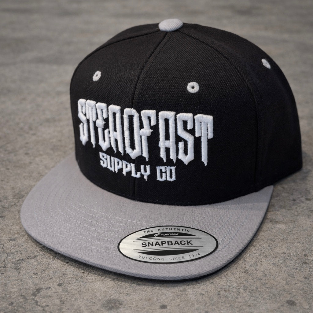 Hard Truth Snapback Silver/ Black